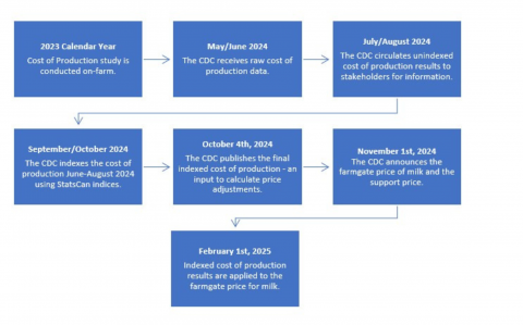 Process explained in blue boxes